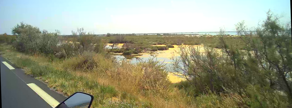 2025 Motoconcept 2 (57).png